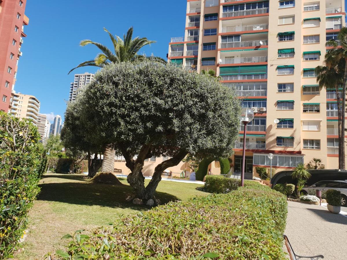 En El Cielo De - Alteanos V Appartement Benidorm
